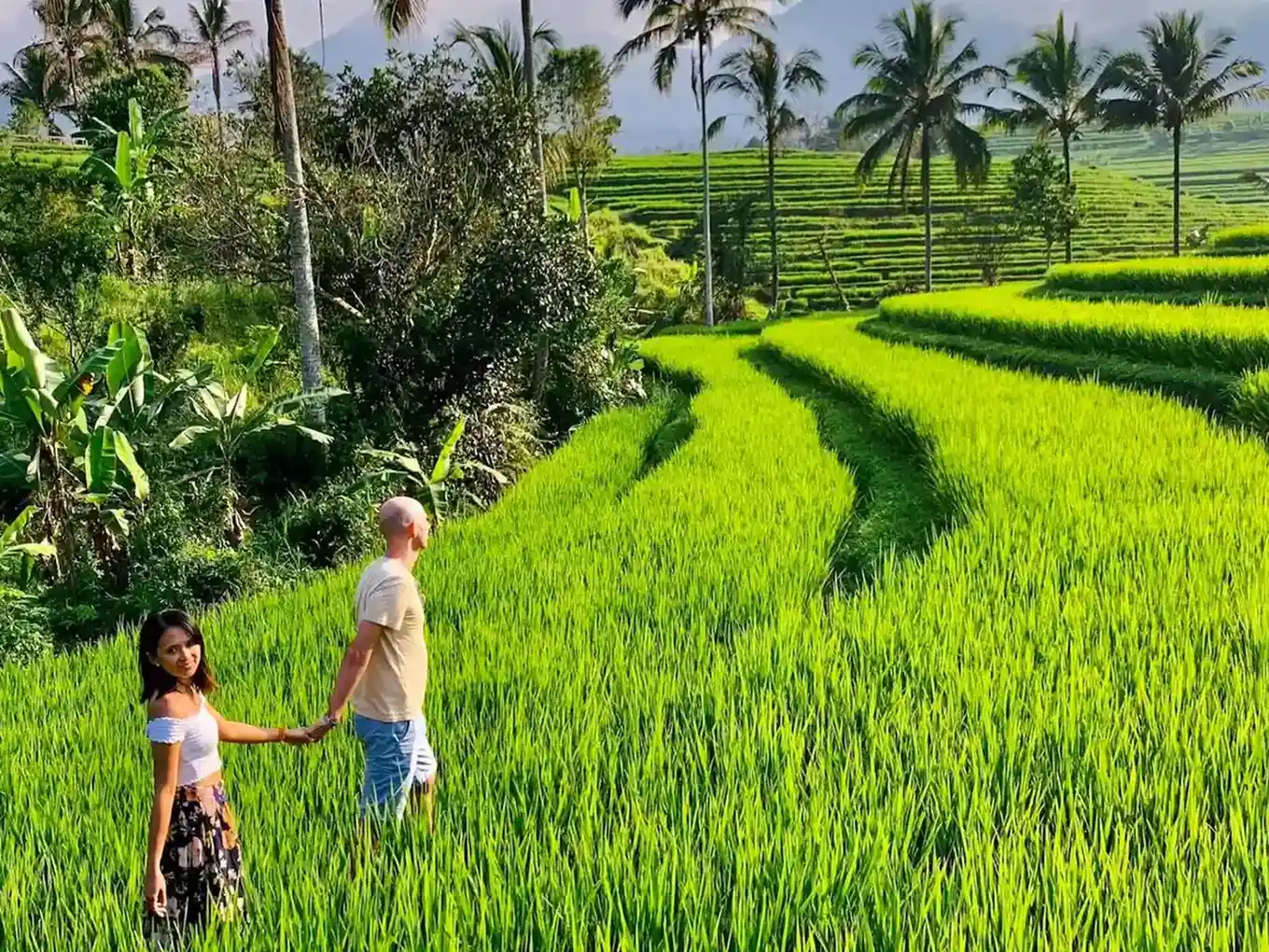 Jatiluwih Rice Terraces Bali