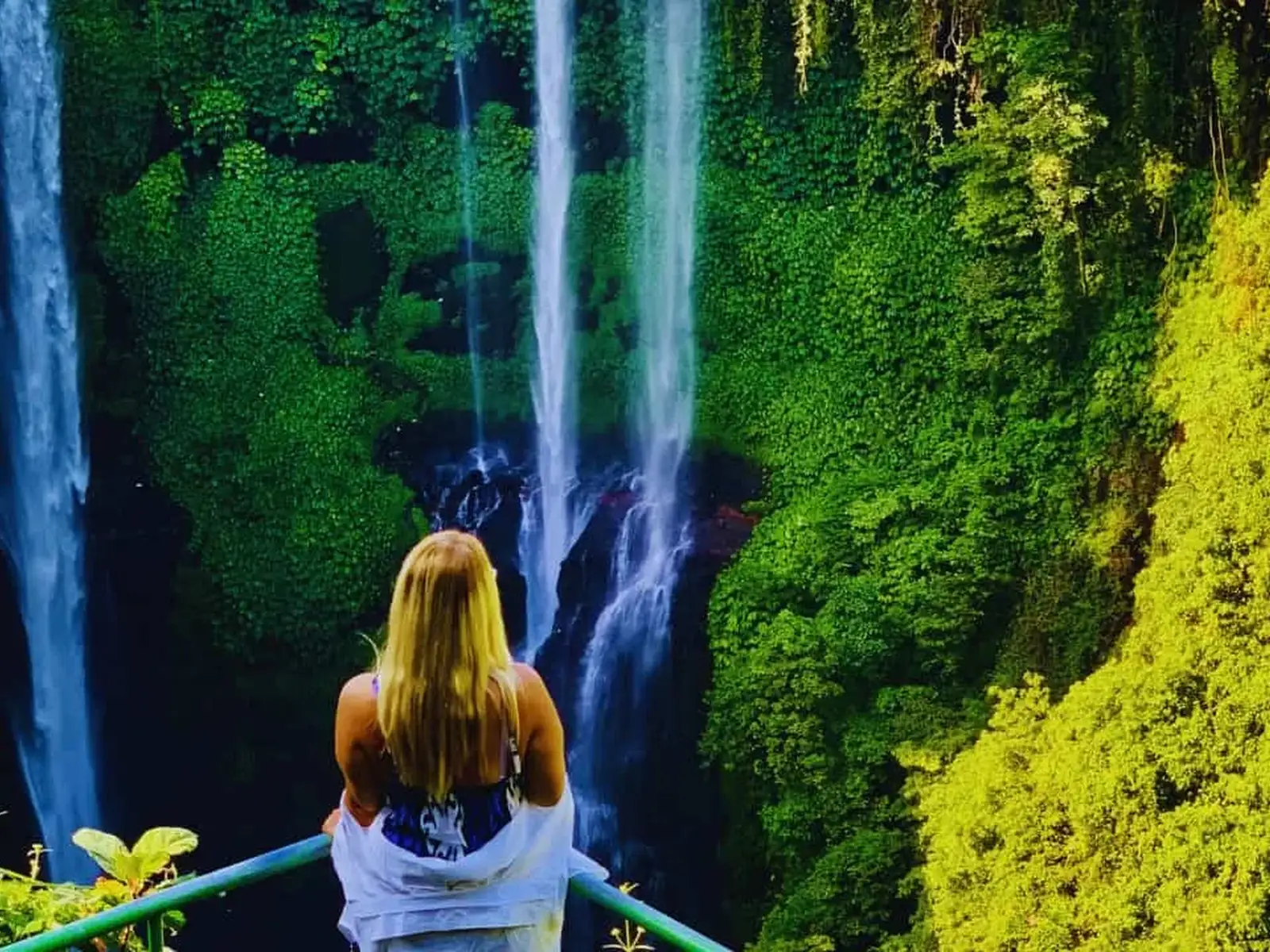 North Bali Sekumpul Waterfall Tour