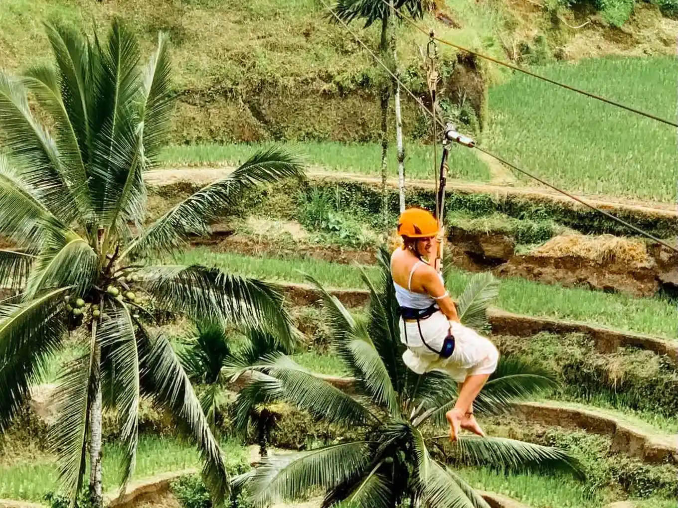 Ubud Highlights Tour